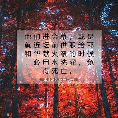 Picture 07 - 出 埃 及 记 30:20 CUVS - 他 们 进 会 幕 ， 或 是 就 近 坛 前 - Bible Verse Picture
