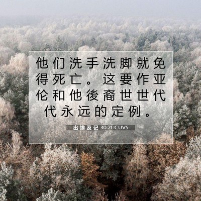 Picture 07 - 出 埃 及 记 30:21 CUVS - 他 们 洗 手 洗 脚 就 免 得 死 亡 。 - Bible Verse Picture