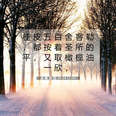 Picture 07 - 出 埃 及 记 30:24 CUVS - 桂 皮 五 百 舍 客 勒 ， 都 按 着 圣 - Bible Verse Picture
