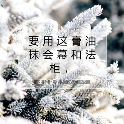Picture 07 - 出 埃 及 记 30:26 CUVS - 要 用 这 膏 油 抹 会 幕 和 法 柜 - Bible Verse Picture