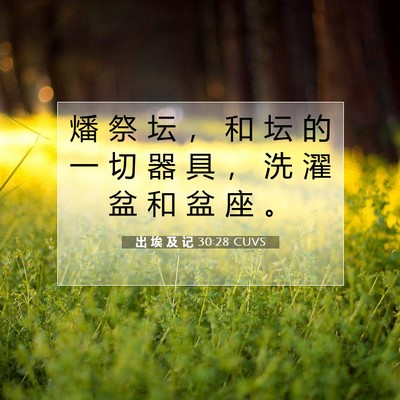 Picture 07 - 出 埃 及 记 30:28 CUVS - 燔 祭 坛 ， 和 坛 的 一 切 器 具 ， - Bible Verse Picture
