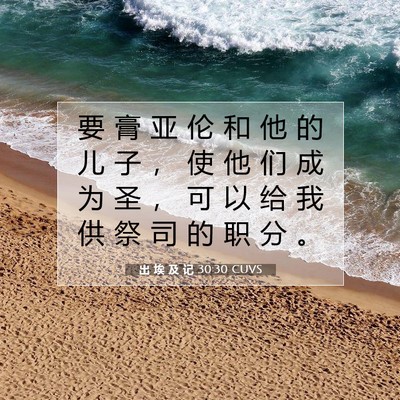 Picture 07 - 出 埃 及 记 30:30 CUVS - 要 膏 亚 伦 和 他 的 儿 子 ， 使 他 - Bible Verse Picture