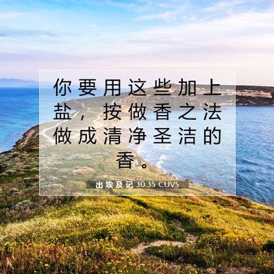Picture 07 - 出 埃 及 记 30:35 CUVS - 你 要 用 这 些 加 上 盐 ， 按 做 香 - Bible Verse Picture