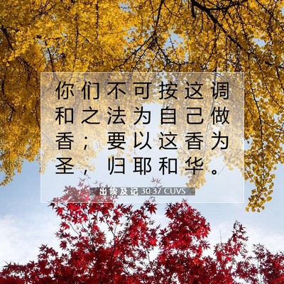 Picture 07 - 出 埃 及 记 30:37 CUVS - 你 们 不 可 按 这 调 和 之 法 为 自 - Bible Verse Picture