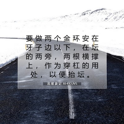 Picture 07 - 出 埃 及 记 30:4 CUVS - 要 做 两 个 金 环 安 在 牙 子 边 以 - Bible Verse Picture