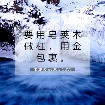 Picture 07 - 出 埃 及 记 30:5 CUVS - 要 用 皂 荚 木 做 杠 ， 用 金 包 裹 - Bible Verse Picture