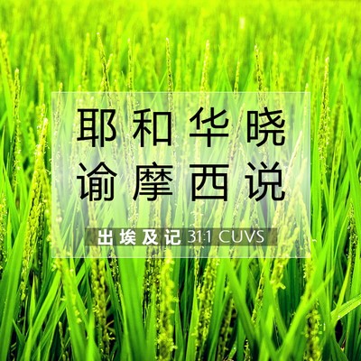 Picture 07 - 出 埃 及 记 31:1 CUVS - 耶 和 华 晓 谕 摩 西 - Bible Verse Picture