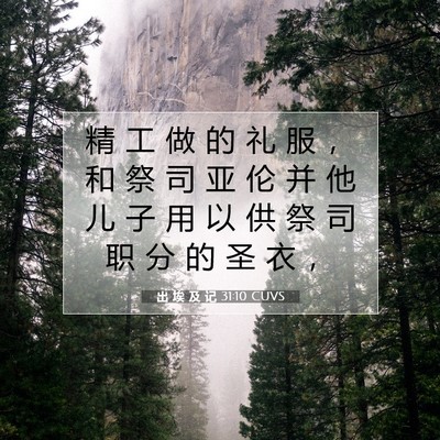 Picture 07 - 出 埃 及 记 31:10 CUVS - 精 工 做 的 礼 服 ， 和 祭 司 亚 伦 - Bible Verse Picture