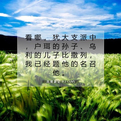 Picture 07 - 出 埃 及 记 31:2 CUVS - 看 哪 ， 犹 大 支 派 中 ， 户 珥 的 - Bible Verse Picture