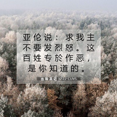 Picture 07 - 出 埃 及 记 32:22 CUVS - 亚 伦 说 ： 求 我 主 不 要 发 烈 怒 - Bible Verse Picture