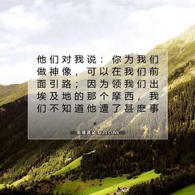 Picture 07 - 出 埃 及 记 32:23 CUVS - 他 们 对 我 说 ： 你 为 我 们 做 神 - Bible Verse Picture