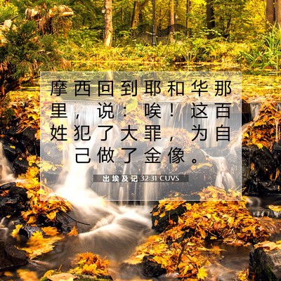 Picture 07 - 出 埃 及 记 32:31 CUVS - 摩 西 回 到 耶 和 华 那 里 ， 说 ： - Bible Verse Picture