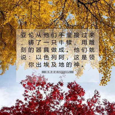 Picture 07 - 出 埃 及 记 32:4 CUVS - 亚 伦 从 他 们 手 里 接 过 来 ， 铸 - Bible Verse Picture