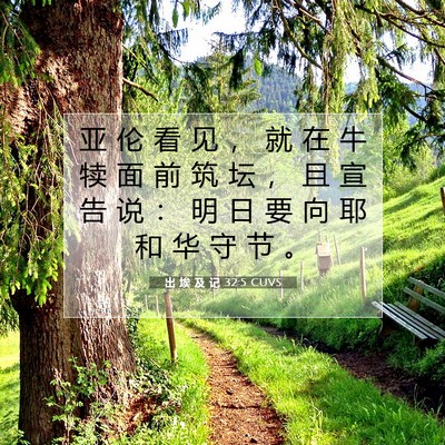 Picture 07 - 出 埃 及 记 32:5 CUVS - 亚 伦 看 见 ， 就 在 牛 犊 面 前 筑 - Bible Verse Picture