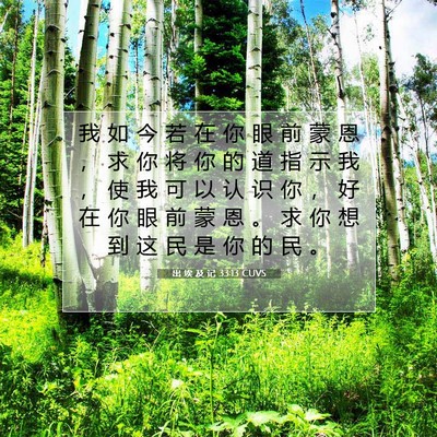 Picture 07 - 出 埃 及 记 33:13 CUVS - 我 如 今 若 在 你 眼 前 蒙 恩 ， 求 - Bible Verse Picture