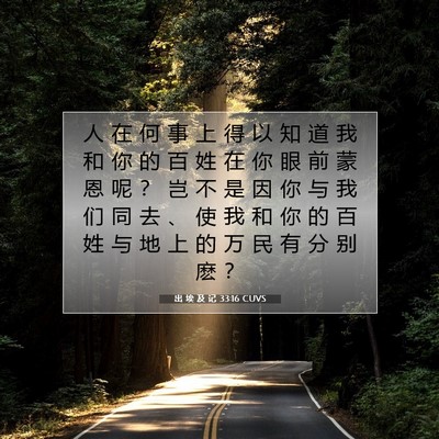 Picture 07 - 出 埃 及 记 33:16 CUVS - 人 在 何 事 上 得 以 知 道 我 和 你 - Bible Verse Picture