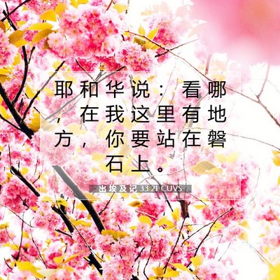 Picture 07 - 出 埃 及 记 33:21 CUVS - 耶 和 华 说 ： 看 哪 ， 在 我 这 里 - Bible Verse Picture