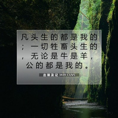 Picture 07 - 出 埃 及 记 34:19 CUVS - 凡 头 生 的 都 是 我 的 ； 一 切 牲 - Bible Verse Picture