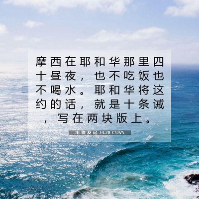 Picture 07 - 出 埃 及 记 34:28 CUVS - 摩 西 在 耶 和 华 那 里 四 十 昼 夜 - Bible Verse Picture
