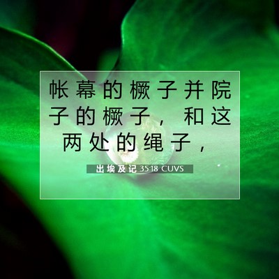 Picture 07 - 出 埃 及 记 35:18 CUVS - 帐 幕 的 橛 子 并 院 子 的 橛 子 ， - Bible Verse Picture