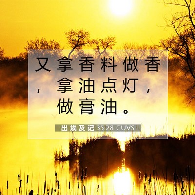 Picture 07 - 出 埃 及 记 35:28 CUVS - 又 拿 香 料 做 香 ， 拿 油 点 灯 ， - Bible Verse Picture