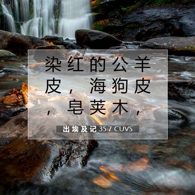 Picture 07 - 出 埃 及 记 35:7 CUVS - 染 红 的 公 羊 皮 ， 海 狗 皮 ， 皂 - Bible Verse Picture
