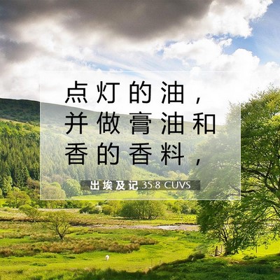 Picture 07 - 出 埃 及 记 35:8 CUVS - 点 灯 的 油 ， 并 做 膏 油 和 香 的 - Bible Verse Picture
