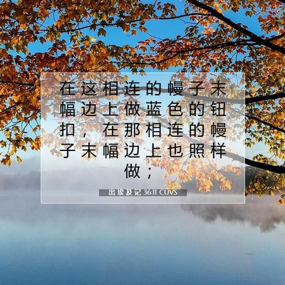 Picture 07 - 出 埃 及 记 36:11 CUVS - 在 这 相 连 的 幔 子 末 幅 边 上 做 - Bible Verse Picture