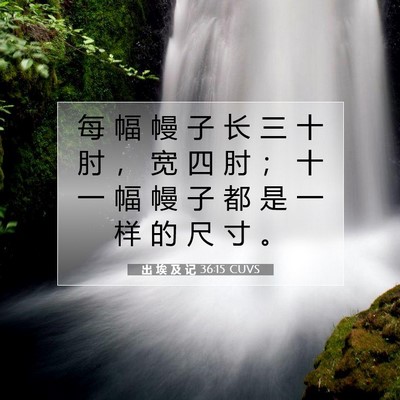 Picture 07 - 出 埃 及 记 36:15 CUVS - 每 幅 幔 子 长 三 十 肘 ， 宽 四 肘 - Bible Verse Picture