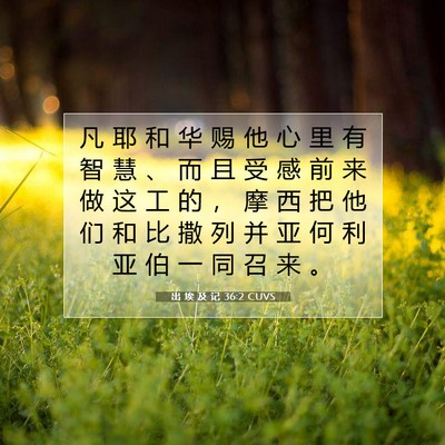 Picture 07 - 出 埃 及 记 36:2 CUVS - 凡 耶 和 华 赐 他 心 里 有 智 慧 、 - Bible Verse Picture