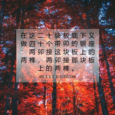 Picture 07 - 出 埃 及 记 36:24 CUVS - 在 这 二 十 块 板 底 下 又 做 四 十 - Bible Verse Picture