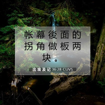 Picture 07 - 出 埃 及 记 36:28 CUVS - 帐 幕 後 面 的 拐 角 做 板 两 块 - Bible Verse Picture