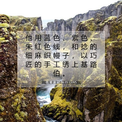 Picture 07 - 出 埃 及 记 36:35 CUVS - 他 用 蓝 色 、 紫 色 、 朱 红 色 线 - Bible Verse Picture