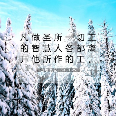 Picture 07 - 出 埃 及 记 36:4 CUVS - 凡 做 圣 所 一 切 工 的 智 慧 人 各 - Bible Verse Picture