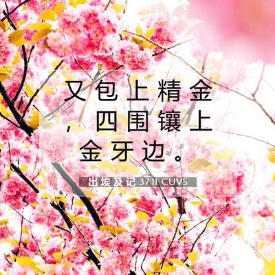 Picture 07 - 出 埃 及 记 37:11 CUVS - 又 包 上 精 金 ， 四 围 镶 上 金 牙 - Bible Verse Picture