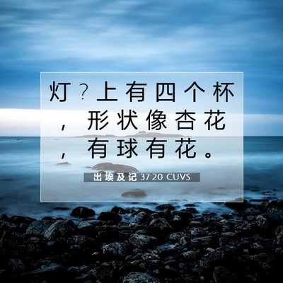 Picture 07 - 出 埃 及 记 37:20 CUVS - 灯 ? 上 有 四 个 杯 ， 形 状 像 杏 花 - Bible Verse Picture