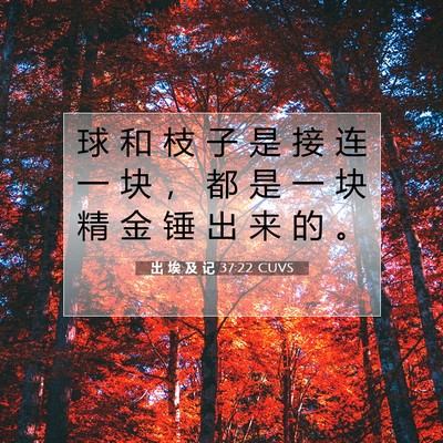 Picture 07 - 出 埃 及 记 37:22 CUVS - 球 和 枝 子 是 接 连 一 块 ， 都 是 - Bible Verse Picture