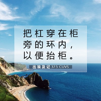 Picture 07 - 出 埃 及 记 37:5 CUVS - 把 杠 穿 在 柜 旁 的 环 内 ， 以 便 - Bible Verse Picture