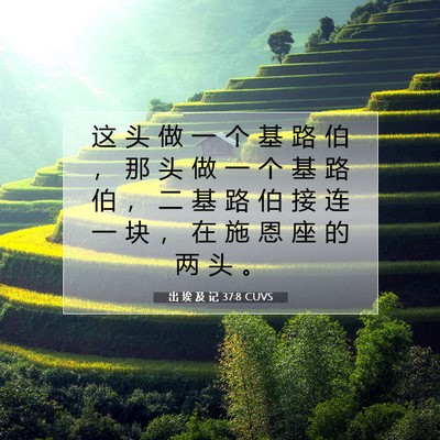Picture 07 - 出 埃 及 记 37:8 CUVS - 这 头 做 一 个 基 路 伯 ， 那 头 做 - Bible Verse Picture