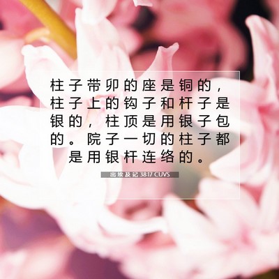 Picture 07 - 出 埃 及 记 38:17 CUVS - 柱 子 带 卯 的 座 是 铜 的 ， 柱 子 - Bible Verse Picture