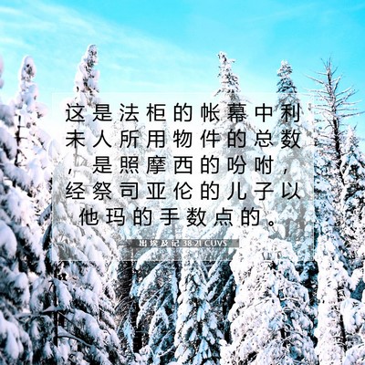 Picture 07 - 出 埃 及 记 38:21 CUVS - 这 是 法 柜 的 帐 幕 中 利 未 人 所 - Bible Verse Picture
