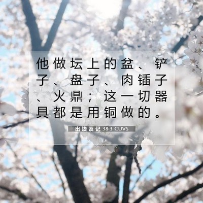 Picture 07 - 出 埃 及 记 38:3 CUVS - 他 做 坛 上 的 盆 、 铲 子 、 盘 子 - Bible Verse Picture