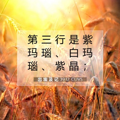 Picture 07 - 出 埃 及 记 39:12 CUVS - 第 三 行 是 紫 玛 瑙 、 白 玛 瑙 、 - Bible Verse Picture