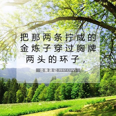 Picture 07 - 出 埃 及 记 39:17 CUVS - 把 那 两 条 拧 成 的 金 炼 子 穿 过 - Bible Verse Picture