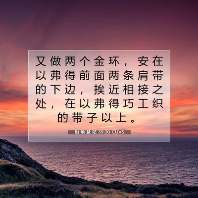 Picture 07 - 出 埃 及 记 39:20 CUVS - 又 做 两 个 金 环 ， 安 在 以 弗 得 - Bible Verse Picture