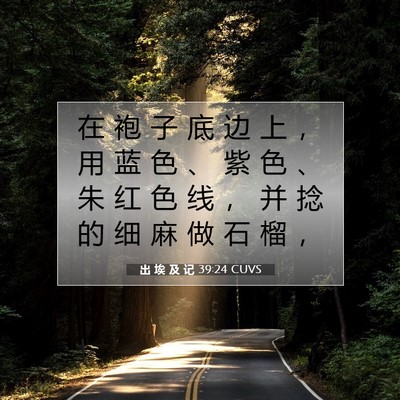 Picture 07 - 出 埃 及 记 39:24 CUVS - 在 袍 子 底 边 上 ， 用 蓝 色 、 紫 - Bible Verse Picture