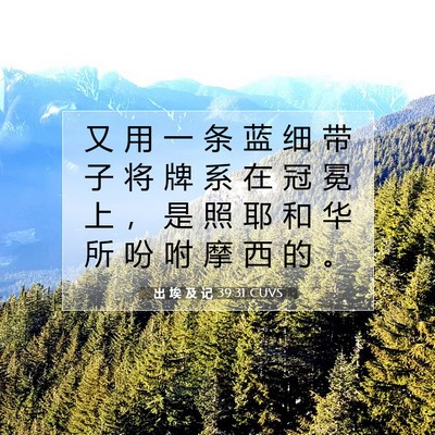 Picture 07 - 出 埃 及 记 39:31 CUVS - 又 用 一 条 蓝 细 带 子 将 牌 系 在 - Bible Verse Picture