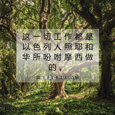 Picture 07 - 出 埃 及 记 39:42 CUVS - 这 一 切 工 作 都 是 以 色 列 人 照 - Bible Verse Picture