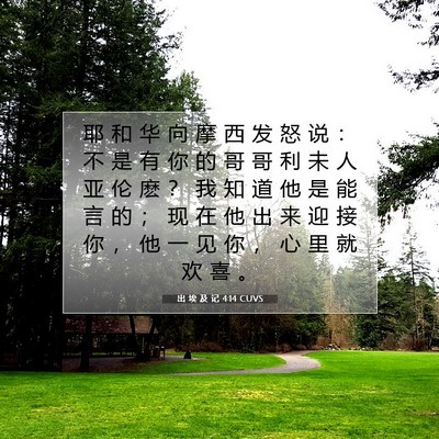 Picture 07 - 出 埃 及 记 4:14 CUVS - 耶 和 华 向 摩 西 发 怒 说 ： 不 是 - Bible Verse Picture