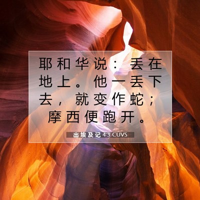 Picture 07 - 出 埃 及 记 4:3 CUVS - 耶 和 华 说 ： 丢 在 地 上 。 他 一 - Bible Verse Picture